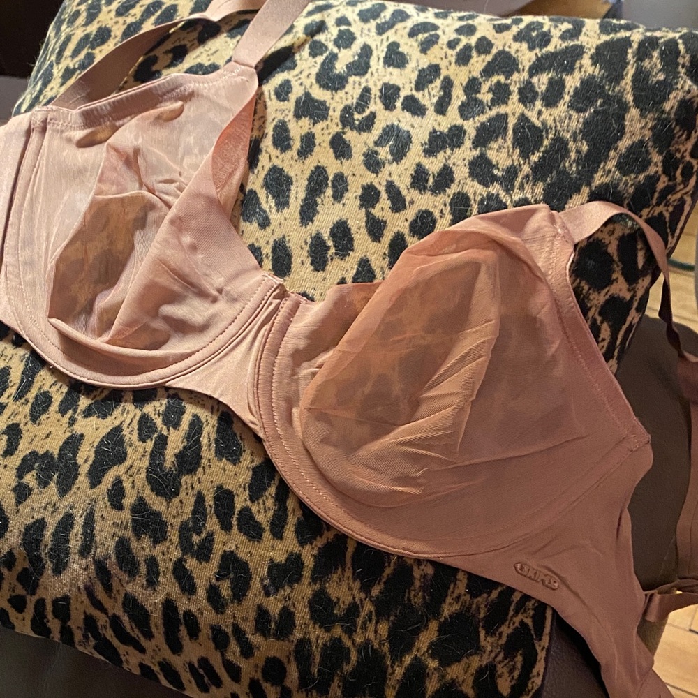 SKIMS Pink Sheer Bra